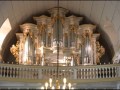 Organ Concerto in D Minor BWV 596 arr. Bach