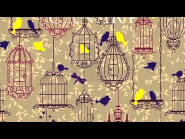 Watch Echo on YouTube Watch Echo on YouTube