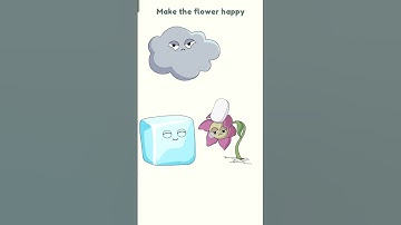 what is the cat hiding? Dop 2 games