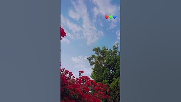 تلاوه من سوره سبأ #اكسبلور
