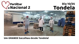 Um GRANDE bacalhau desde Tondela | PORTUGAL NACIONAL 2 | DIA 10/35
