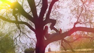 point n sesh in a tree!