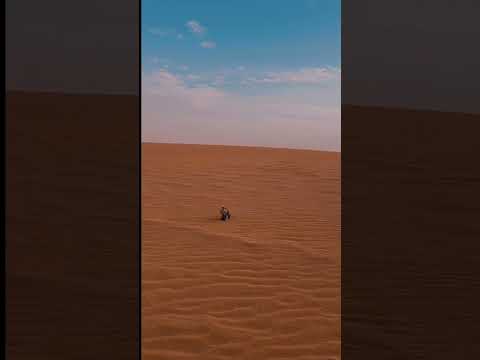 شيلة ياحمد عشق القرانيس