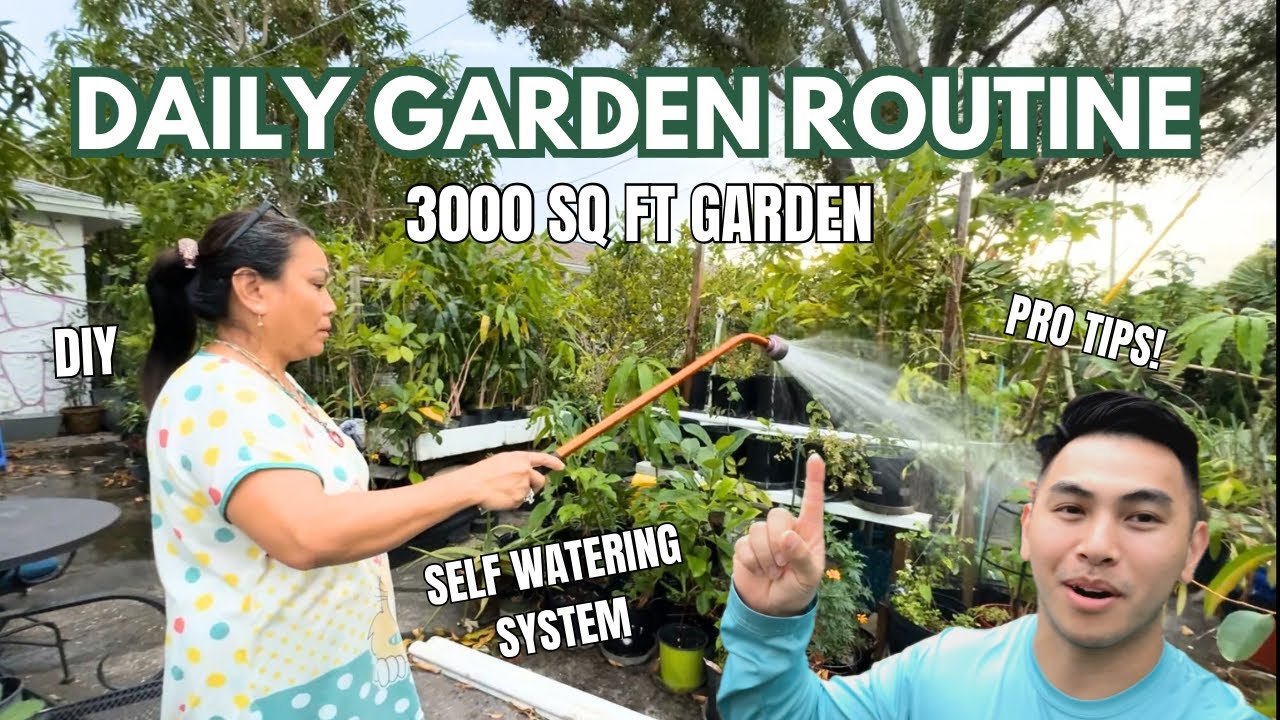 Watering our huge backyard garden | Mama Judy’s tips & tricks