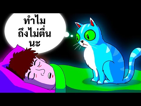 วีดีโอ: 6 เคล็ดลับในการให้อาหารสัตว์เลี้ยงของคุณในช่วงภัยพิบัติ