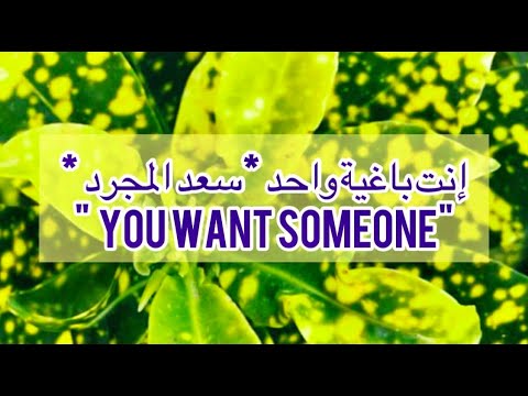 سعد لمجرد انتي باغية واحد بالكلمات مترجمة       