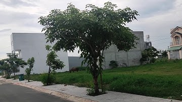 Có chắc yêu là đây ! Lô đất đẹp giá yêu thương