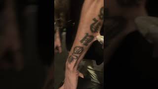 Gecko Bites Arm And Clings On Tight