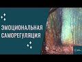 Эмоциональная саморегуляция.