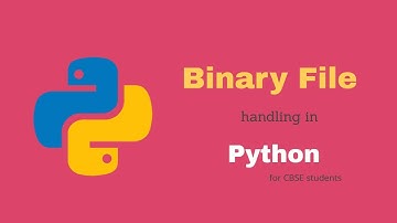 Binary File handling in Python | Binary Files in Python (Hindi )