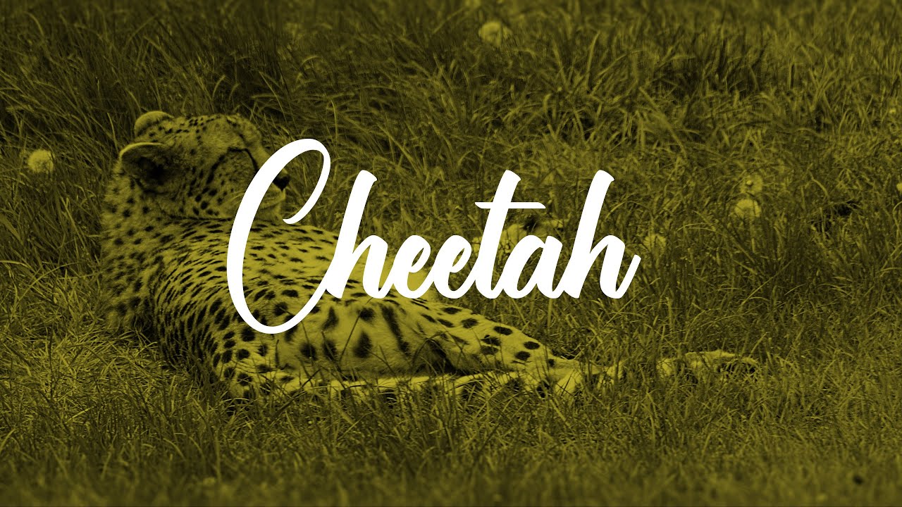 *FREE* AGoff Type Beat - "Cheetah" | Free Instrumental