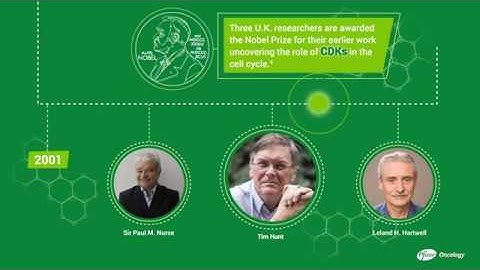 The Making of a Scientific Advancement