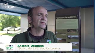 Ensayos Y Técnicas Para Eliminar El Plumero - Life Stop Cortaderia
