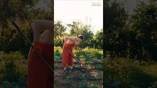 3 Weeding Mistakes Farmers Must Avoid 🚜❌ | Balwaan FR-350 &amp; FR-180 Inter Cultivators