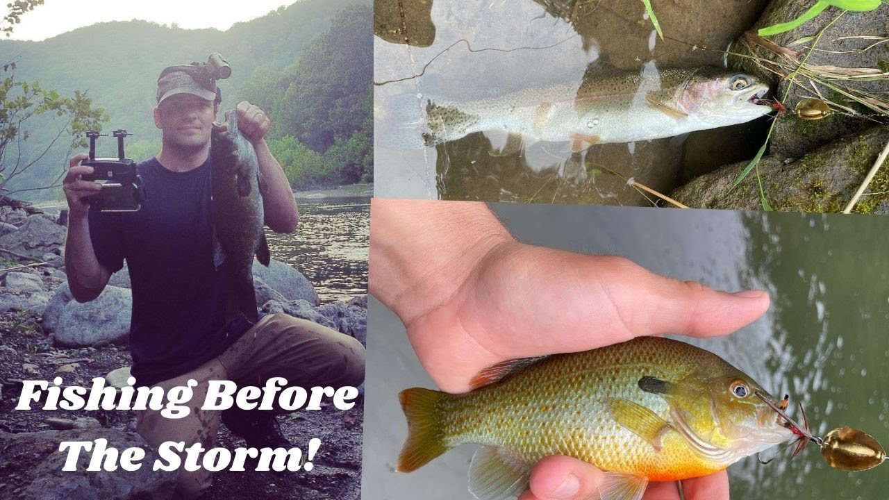 Fishing Lake Moomaw Inlet Before the Storm + Big Smallmouth! YouTube