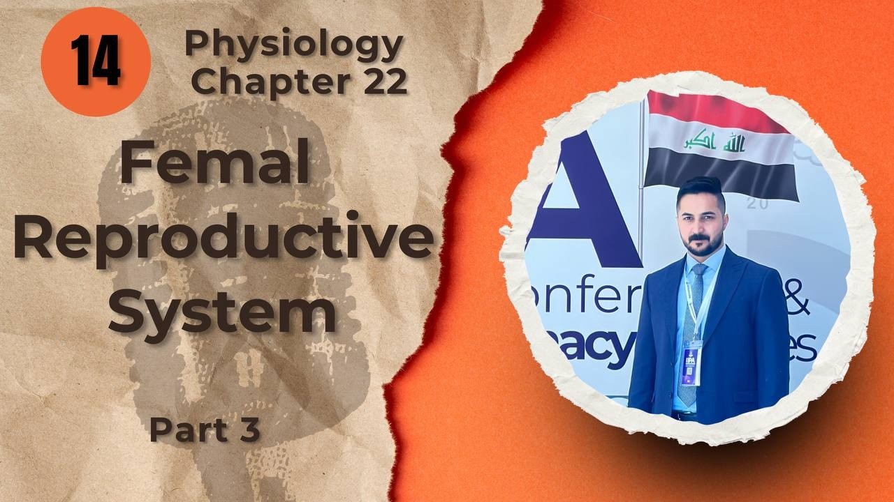 14. Female Reproductive System Chapter 22 Part 3 (فسلجة وزاري)