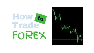 Can you be a profitable Forex Trader in 2024? Here is my advice