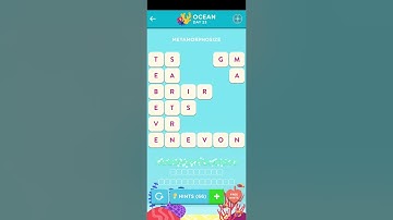 Wordbrain 2 Ocean Event Day 23 2024 Answers