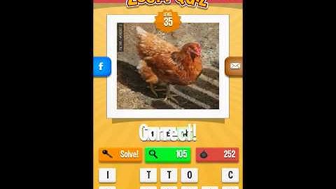 Zoom Quiz Levels 31-40 Answers