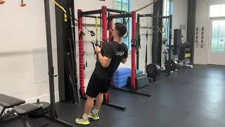 TRX Squat to Row