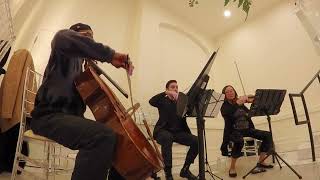 Invisible String by Taylor Swift - String Trio by Serenata Strings DFW