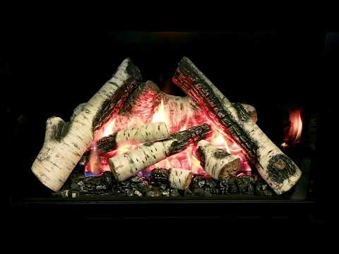 Valor G3.5 Gas Insert | Birch Logs with Reflective Glass Liner