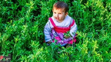 #سورة آل عمران كاملة برواية ورش----&---- القارئ كمال إمعليتن