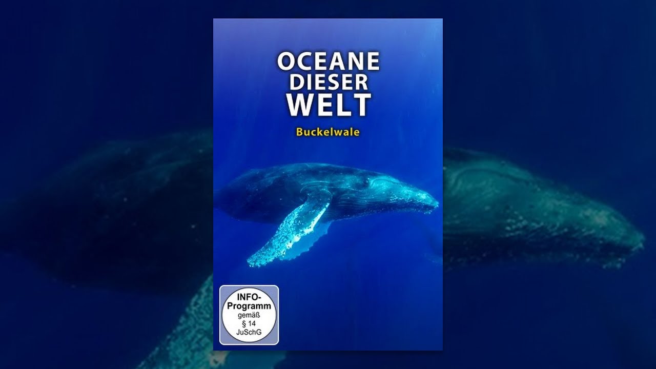 Ozeane dieser Welt - Buckelwale