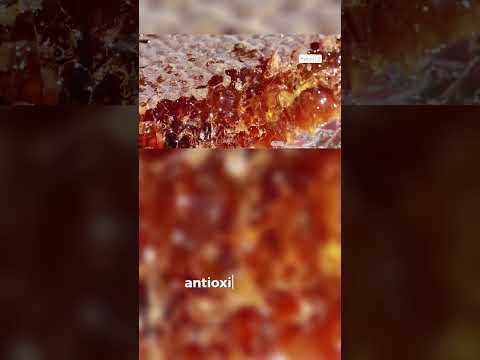 Benefits of Propolis