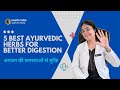 5 best ayurvedic herbs 🌿 for better digestion and gut health #healthtalks #guthealth