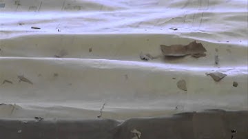 BPLF Sanborn Maps Initial3