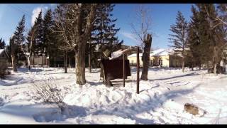 Double Lach Gainer trainings