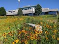 Seeding the prairie garden