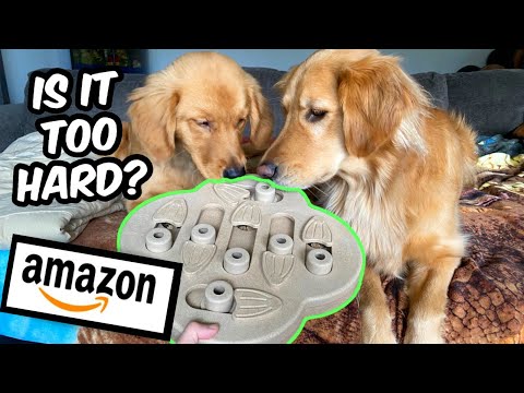 Can they solve this INTERMEDIATE food puzzle from Amazon? Outward Hound