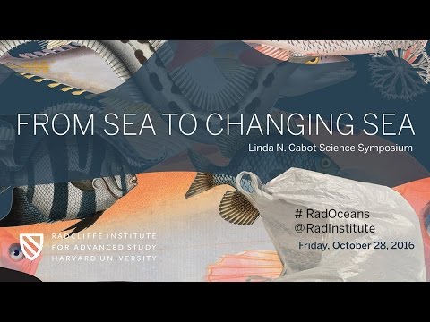 From Sea to Changing Sea | The Role of Oceans in Climate || Radcliffe Institute thumbnail