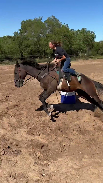 Here is the raw for those that asked! #swagger #horse #horseracing #rodeo