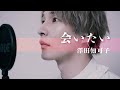 【歌ってみた/拓也ソロ】澤田知可子「会いたい」【本気のカバー】