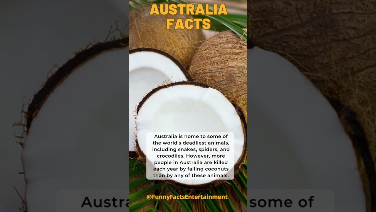 Funny facts about Australia 