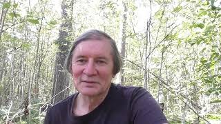 видео: Африканизированные пчёлы под боком картинка: Африканизированные пчёлы под боком
