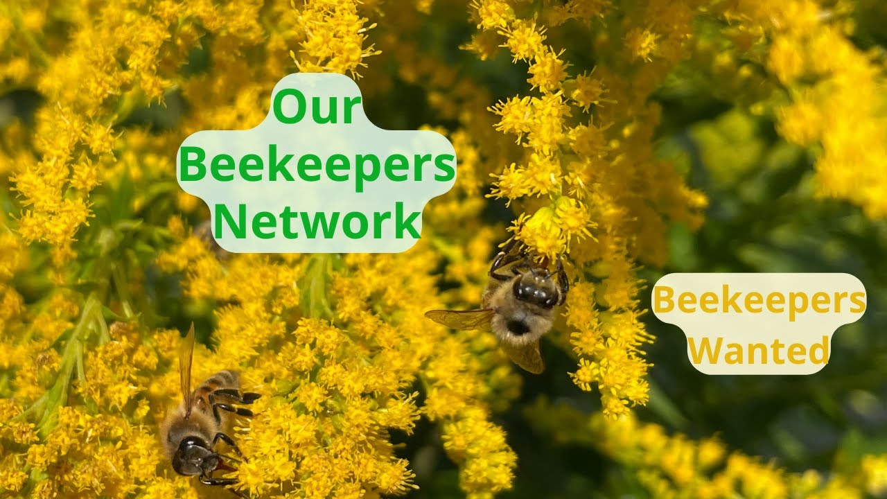 Beekeepers Who Work With Us