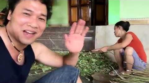 Cây An Xoa chữa bệnh về Gan: Xơ gan, viêm Gan B, giải độc gan .kể cả ung thư Gan.Dt 034 4633565 Lan