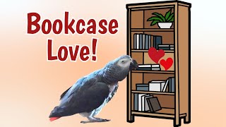 Bookcase Love: Einstein's Sweet Serenade by Einstein Parrot 3,770 views 2 weeks ago 3 minutes, 21 seconds