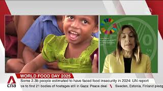 Nearly 14 million people risk severe hunger due to funding cuts: World Food Programme