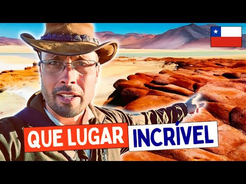 O MELHOR PASSEIO