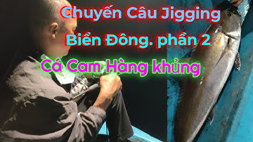 Chuyến Câu Jigging Biển Đông. Phần 2 . kéo cá cam hàng khủng .khi biển về đêm .Enorme peixe do mar,