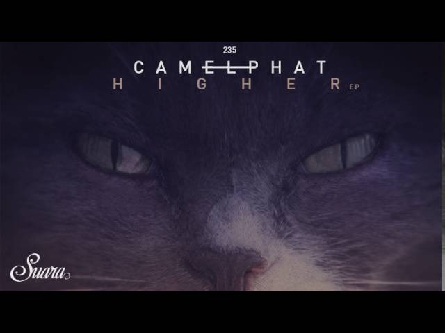 CamelPhat - Reverse It