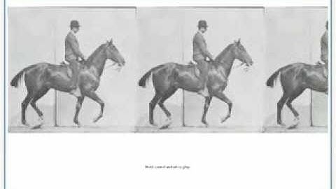 Chrome Experiment - Browsermation