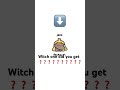 I got bread cat witch one did you get???
