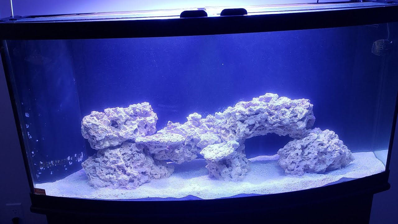 Ultimate refugium starter kit shipment 2 YouTube