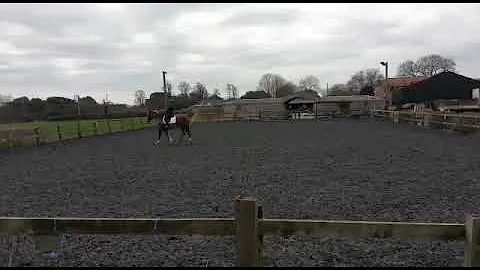 TAMARA GRANTHAM and GWRTHAFARN SERENITY. INTRO C o...